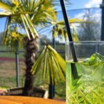 Terrasse le Repère Pont de Vaux